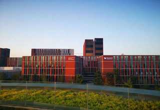 介紹樹苗種植時間