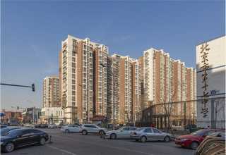 寧海柑橘免費(fèi)咨詢