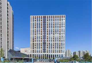 福建硼砂國產(chǎn)